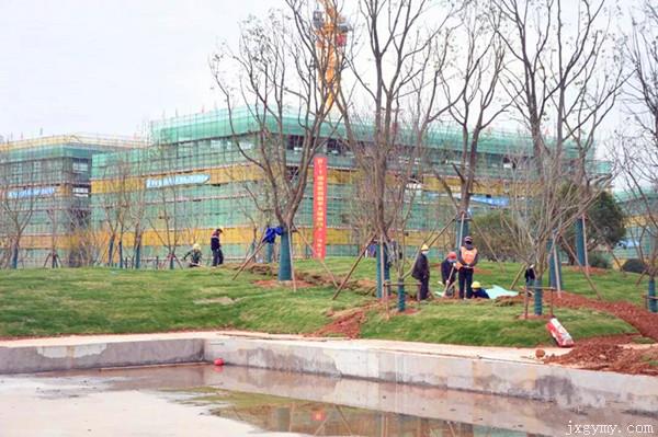 防疫与复工并重：德旺装饰江西陶瓷工艺美院新校区项目正式复工